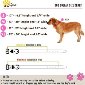 img 1 attached to 🐶 Padded Leather Dog Collar: Ideal Soft and Sturdy Collars for Dogs of All Sizes