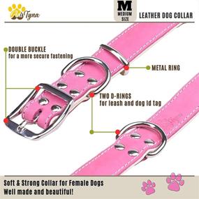 img 2 attached to 🐶 Padded Leather Dog Collar: Ideal Soft and Sturdy Collars for Dogs of All Sizes