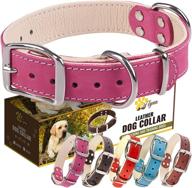 🐶 padded leather dog collar: ideal soft and sturdy collars for dogs of all sizes логотип