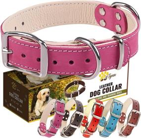 img 4 attached to 🐶 Padded Leather Dog Collar: Ideal Soft and Sturdy Collars for Dogs of All Sizes