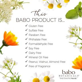 img 1 attached to Babo Botanicals Mineral Sunscreen Unscented