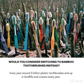 img 2 attached to 🌱 Sustainable Biodegradable Packaging for Eco-Friendly Toothbrush