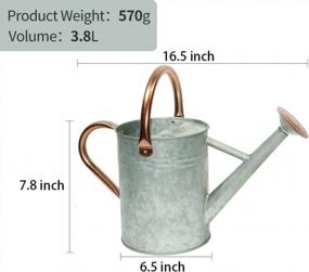 img 3 attached to Steel Watering Can With Copper Accents, Removable Rosette-Diffuser - Yourjoy 1 Gallon Capacity