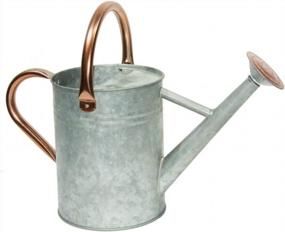 img 4 attached to Steel Watering Can With Copper Accents, Removable Rosette-Diffuser - Yourjoy 1 Gallon Capacity