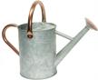 steel watering can with copper accents, removable rosette-diffuser - yourjoy 1 gallon capacity logo