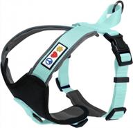 pawtitas teal step-in dog harness: padded, reflective, and adjustable for comfort and control logo