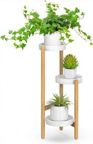 img 4 attached to 3 Tier Bamboo Plant Stand - Elegant Corner Display Holder For Indoor And Outdoor Garden, Home Decor And Plant Display Rack (3 Tier - 1)