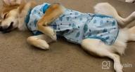 img 1 attached to Dog Recovery Suit After Surgery, 2Nd Edition - Male Female Dog Cats Cone E-Collar Alternative Abdominal Wounds Spay Bandages Onesie Anti-Licking Pet Surgical Snuggly Suit review by Deanna Cook