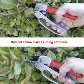 img 2 attached to Effortlessly Trim Your Garden With Toolman Ratchet Secateurs Anvil Pruners - Ergonomic Hand Tool With Comfortable Grip