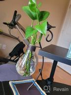 img 1 attached to Add A Touch Of Green To Your Space With Marbrasse Desktop Glass Planter - Lovely Dog Hydroponics Vase review by Michael Wilder