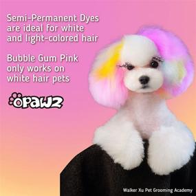 img 1 attached to OPAWZ Semi-Permanent Dog Hair Dye: Safe Food-Grade Pigments for All Pets - Non-Toxic and Bathable!