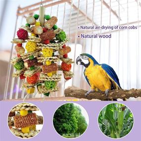 img 3 attached to 🦜 Parrot Toys: Natural Corn Cob Chewing Toys for Small and Medium-Sized Macaws, African Grey Parrots, Amazon Parrots, and Lovebirds - Ideal Bird Cage Accessories