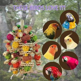 img 1 attached to 🦜 Parrot Toys: Natural Corn Cob Chewing Toys for Small and Medium-Sized Macaws, African Grey Parrots, Amazon Parrots, and Lovebirds - Ideal Bird Cage Accessories