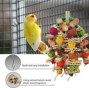 img 2 attached to 🦜 Parrot Toys: Natural Corn Cob Chewing Toys for Small and Medium-Sized Macaws, African Grey Parrots, Amazon Parrots, and Lovebirds - Ideal Bird Cage Accessories