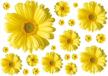 add a pop of sunshine to your walls with mullsan's 3d yellow daisies vinyl wall sticker logo