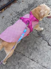 img 7 attached to KYEESE 2 Pack Рубашки для собак Собаки Дышащий мгновенный жилет для собак Легкий для летней одежды для собак (средний (упаковка из 2), розовый + серый)