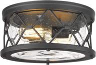 современный промышленный 2-ламповый потолочный светильник черного цвета для скрытого монтажа - идеально подходит для кухни, прихожей или спальни с засеянным стеклянным покрытием и черной отделкой - zw22-f bk от zeyu логотип