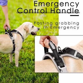 img 1 attached to ThinkPet No Pull Harness Breathable Sport Harness With Handle-Dog Harnesses Reflective Adjustable For Medium Large Dogs,Back/Front Clip For Easy Control L Black