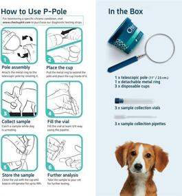 img 1 attached to CheckUp P-Pole: Collect Your Dog's Urine at Home - Telescopic Pole, Cups, Pipettes & Vials for Convenient Testing