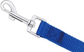 img 1 attached to 🐾 AMAGOOD 30 ft Long Leash for Dog Training, Recall Obedience, Agility, Tie Out, Play & Safety - Blue