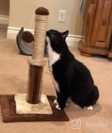 img 1 attached to Jaoul 21" Cat Scratching Post With Double Base Plate And Self Groomer For Indoor Cats review by Roberto Garrido