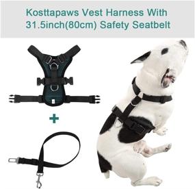 img 3 attached to 🐾 Kosttapaws Dog Car Vest Harness with Seatbelt Set - Adjustable Pet Harness with Safety Belt - Double Breathable Mesh Fabric for Small Medium Large Dogs - Vehicle Connector Strap Included