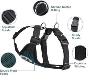 img 2 attached to 🐾 Kosttapaws Dog Car Vest Harness with Seatbelt Set - Adjustable Pet Harness with Safety Belt - Double Breathable Mesh Fabric for Small Medium Large Dogs - Vehicle Connector Strap Included