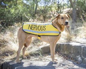 img 3 attached to 🐾 Dexil Limited Waterproof Reflective Fleece Lined Dog Coats with Nervous Yellow Warm Design (Give Me Space) - Prevents Accidents by Proactively Warning Others of Your Dog