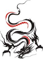 dragon graphic sticker self adhesive graphics logo