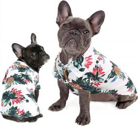 img 4 attached to Подготовьте своего пушистого друга к лету с гавайской рубашкой для собак - крутая футболка с цветочным принтом, одежда для собак для маленьких собак белого цвета (большой размер)
