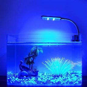 img 3 attached to 🐠 Aquarium Light Clip - Enhance Your Fish Tank with Small Fish Light for Borderless Tanks, White and Blue LEDs