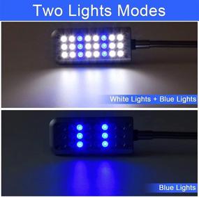 img 1 attached to 🐠 Aquarium Light Clip - Enhance Your Fish Tank with Small Fish Light for Borderless Tanks, White and Blue LEDs
