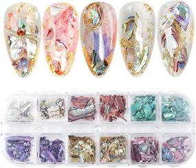 img 4 attached to 12-Grid Abalone Seashell Nail Art Glitter Slices, 3D нерегулярные фрагменты для дизайна ногтей DIY - идеальные украшения для ногтей из ракушек!