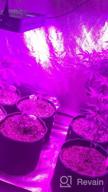 картинка 1 прикреплена к отзыву Phlizon 900W LED Plant Grow Light Full Spectrum Daisy Chain Double Switch For Indoor Plants Veg And Flower-900W от Hannah Jenkins