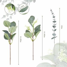 img 2 attached to Auihiay 30 PCS Mixed Eucalyptus Leaves Stems Bulk Artificial Silver Dollar Eucalyptus Leaves Sprays Faux Seeded Eucalyptus Leaves Branches For Wedding Centerpiece Vase Bouquets Home Decor (3 Styles)