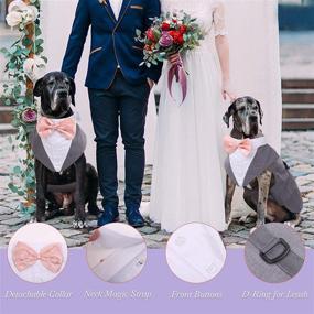 img 1 attached to Formal Pet Dog Tuxedo Suit with Bow Tie for Small, Medium, and Large Breeds - Wedding Shirt Costume, Prince Suit with Detachable Bowtie Collar Bandana - Party Dress-up, Cosplay, and Holiday Wear for Boy Dogs