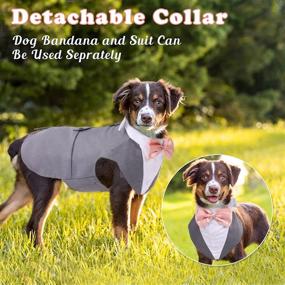 img 2 attached to Formal Pet Dog Tuxedo Suit with Bow Tie for Small, Medium, and Large Breeds - Wedding Shirt Costume, Prince Suit with Detachable Bowtie Collar Bandana - Party Dress-up, Cosplay, and Holiday Wear for Boy Dogs