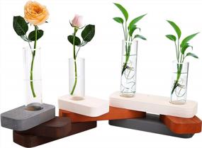img 4 attached to Jucoan Desktop Glass Terrarium Propagation Station With Wood Stand, Glass Flowers Bud Terrarium Vase For Hydroponic Plant Home Office Desktop Decoration