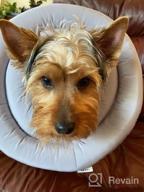 img 1 attached to Water-Resistant Soft UFO Pet Recovery Collar For Small And Medium Dogs And Cats After Surgery - Safe Alternative Cone With Adjustable Neck Donut In Navy (Small) review by Darrell Verduzco