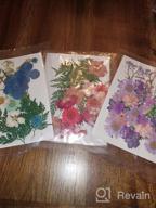img 1 attached to 🌸 Thrilez 100-Piece Pressed Dried Flowers Kit for Resin Molds - Natural Flower Herbs for Scrapbooking, Card Making, Resin Jewelry, Soap, and Candle Crafts (Blue, Purple, Red) review by Demetrius Holt