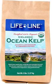 img 4 attached to Enhance Skin & Coat Health with Life Line Pet Nutrition Organic Ocean Kelp Supplement for Dogs & Cats, 5lb (20205)