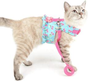 img 3 attached to SELMAI Cat Harness and Leash: Escape Proof Cherry Vest for Small Dogs and Cats - Easy On, Soft Padded, and Ideal for Outdoor Walking in Spring and Autumn