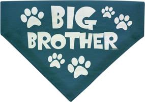 img 4 attached to 🐶 ThisWear Dog Gifts: Adorable Dog Announcement Bandana for Big or Little Brothers!