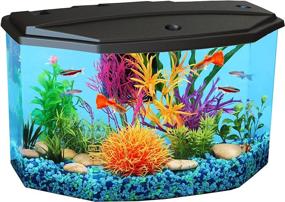 img 4 attached to Koller Products 3-Gallon Aquarium Starter Kit: Vibrant 7-Color 🐠 LED Lighting & Complete Filtration – Perfect for Various Tropical Fish!