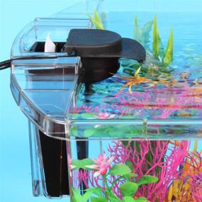 img 2 attached to Koller Products 3-Gallon Aquarium Starter Kit: Vibrant 7-Color 🐠 LED Lighting & Complete Filtration – Perfect for Various Tropical Fish!
