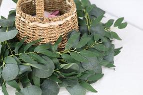 img 1 attached to Artificial Eucalyptus Garland With Willow Twigs And Silver Dollar Leaves - 4 Pack Of 6.2 Ft Greenery Strings For Wedding, Party, Doorways, Table Runners, And Farmhouse Décor Centerpieces.