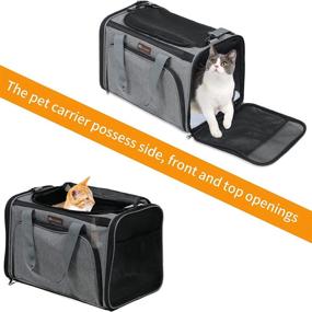 img 2 attached to 🐱 MeLidashi Cat Carrier - Airline Approved Soft-Sided Mesh Pet Carrier Bags: Ideal for Travel, Hiking, and Camping with Small Dogs and Kittens