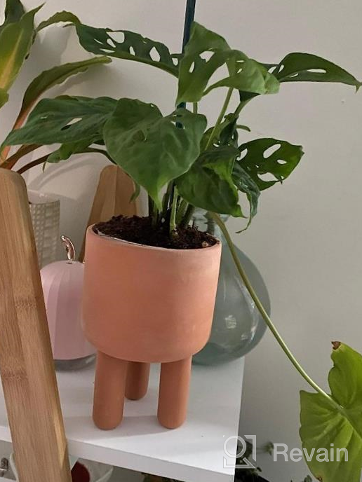 img 1 attached to Set Of 2 - 4.5" Terracotta Clay Plant Pots W/ 3 Legs & Saucer | Indoor Succulent Planters review by Rob Marsh