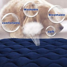 img 2 attached to Кровать для маленькой собаки для ящика: моющаяся подушка для питомника для маленьких, средних и крупных собак и кошек (23x18 дюймов, синяя)