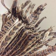 img 1 attached to Pack Of 20 Natural Pheasant Tail Feathers - Ideal For Crafts, Decorations, And Costumes - 10-12 Inch Length - Perfect For Festival Parties, Christmas Ornaments, And Hat Accessories review by Tamara Gruzella